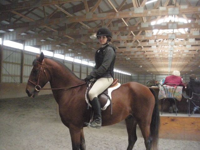 Darby O'Day, Connemara Pony gelding
